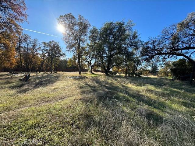 Oroville, CA 95966,43 Alta Mira Lane