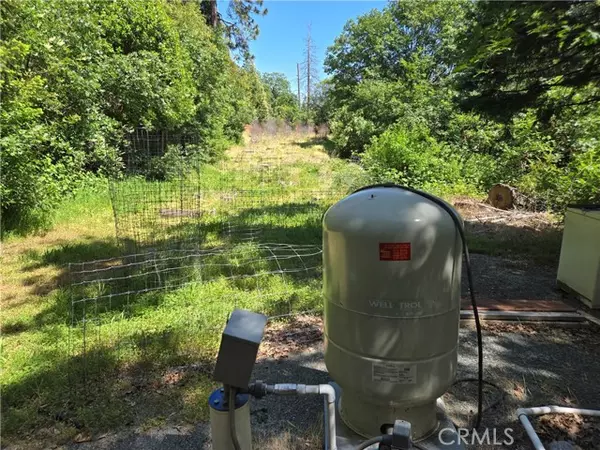 Brownsville, CA 95919,17711 Pamlo Way