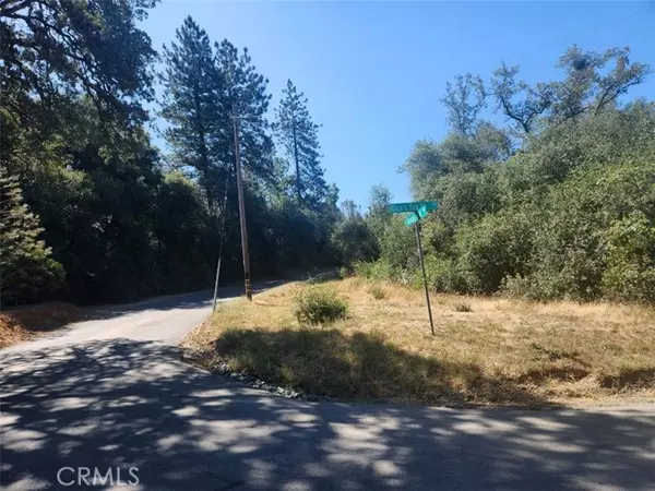 Oregon House, CA 95962,47 Texas Hill Road