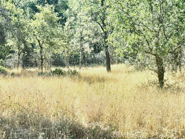 Oregon House, CA 95962,48 Rices Texas Hill Road
