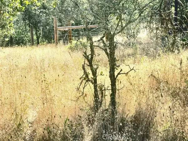 Oregon House, CA 95962,48 Rices Texas Hill Road
