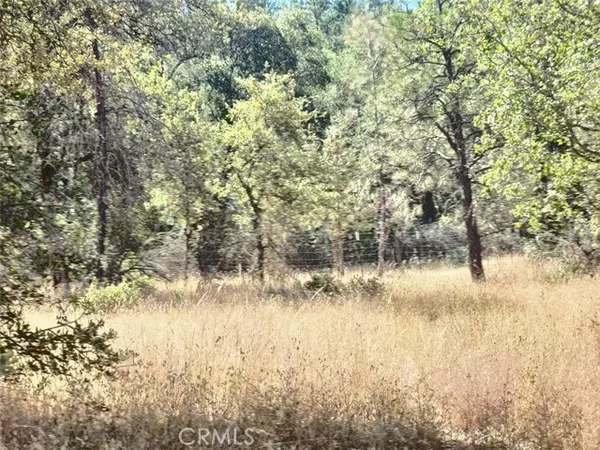 Oregon House, CA 95962,48 Rices Texas Hill Road