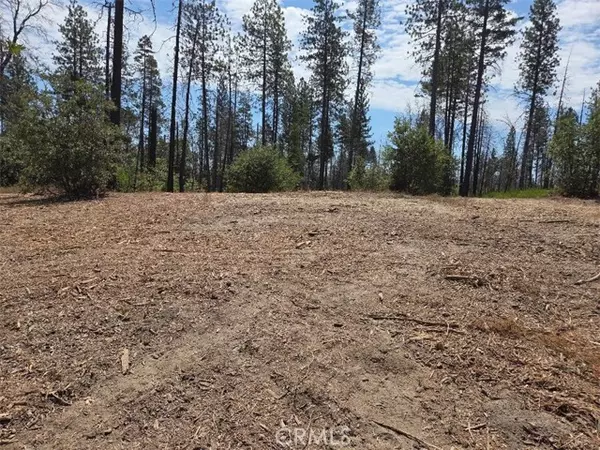 1090 Bald Rock Road, Berry Creek, CA 95916
