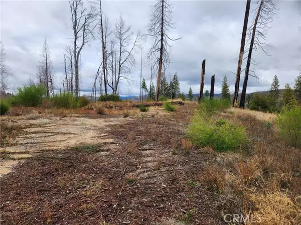 Berry Creek, CA 95916,1103 Bald Rock Road