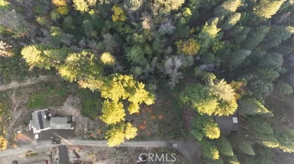 Berry Creek, CA 95916,0 Path in the Woods