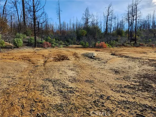 Berry Creek, CA 95916,120 Woodsmoke Way