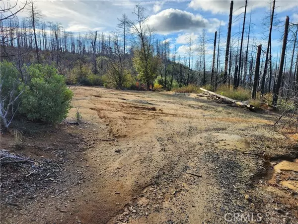 Berry Creek, CA 95916,120 Woodsmoke Way