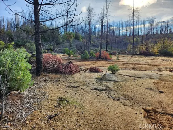 Berry Creek, CA 95916,120 Woodsmoke Way