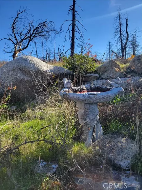 Berry Creek, CA 95916,161 Shadow Creek Road