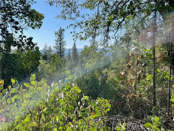 Challenge, CA 95925,0 Forbestown