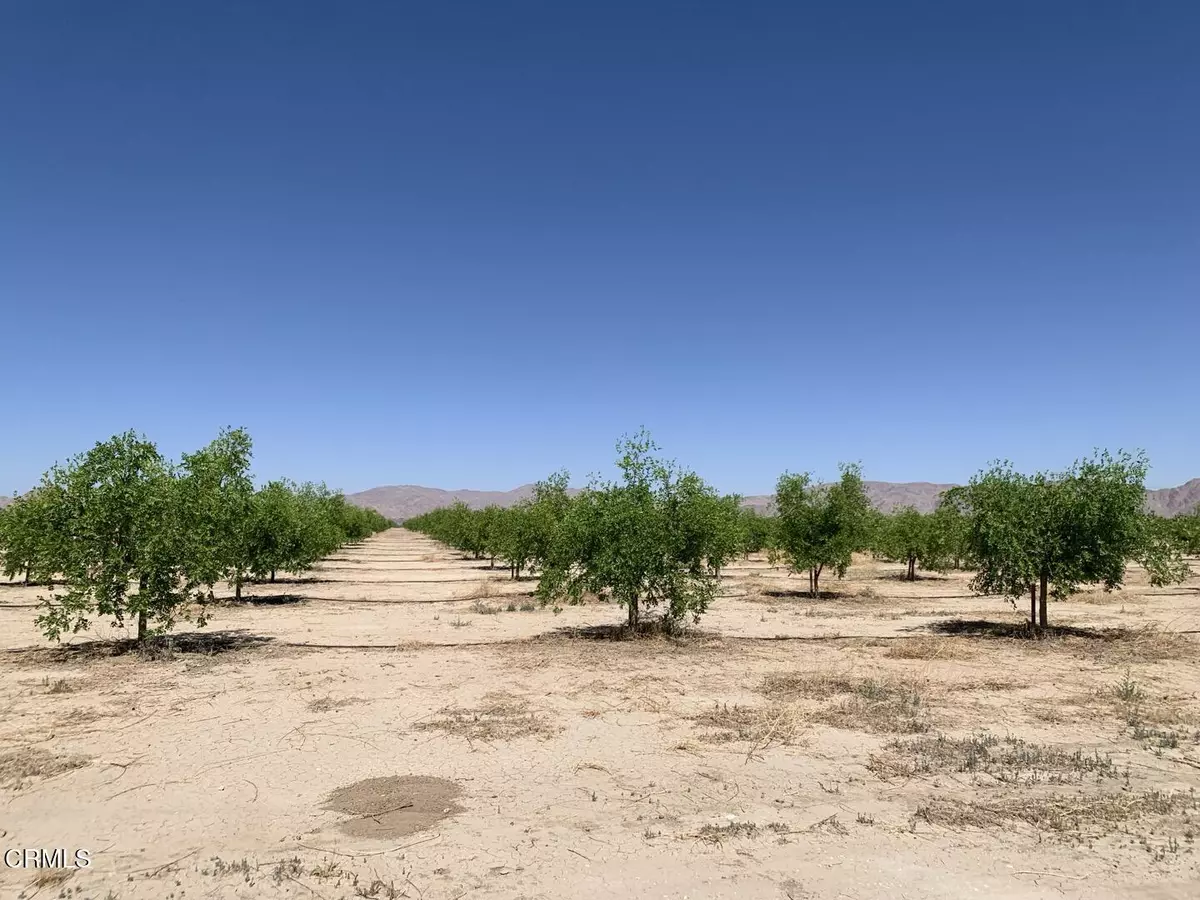 Lucerne Valley, CA 92356,12500 Locust Avenue