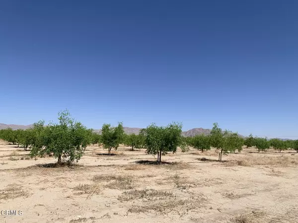Lucerne Valley, CA 92356,12500 Locust Avenue