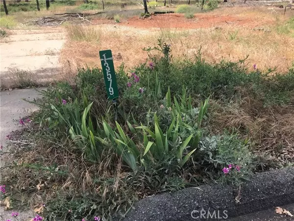 Magalia, CA 95954,13579 Wichita Drive