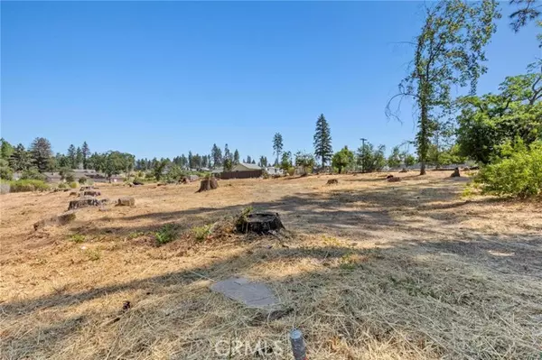 Paradise, CA 95969,1273 Nunneley Road