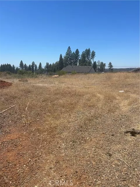 Paradise, CA 95969,8675 Skyway