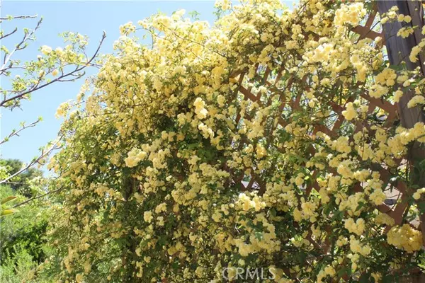 Paso Robles, CA 93446,339 Nightingale Avenue