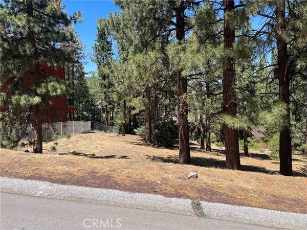 23111 Cardinal Drive, Wrightwood, CA 93544