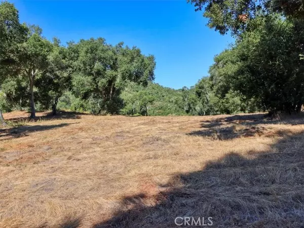 Arroyo Grande, CA 93420,0 Huasna Road