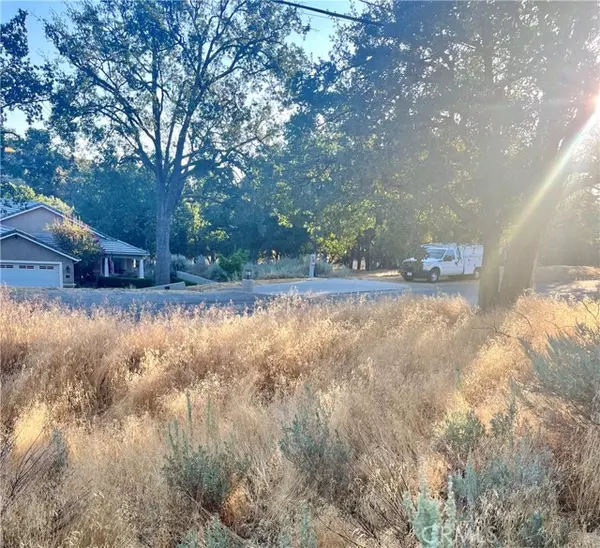 Alpine Forest, CA 93561,0 Alps Drive