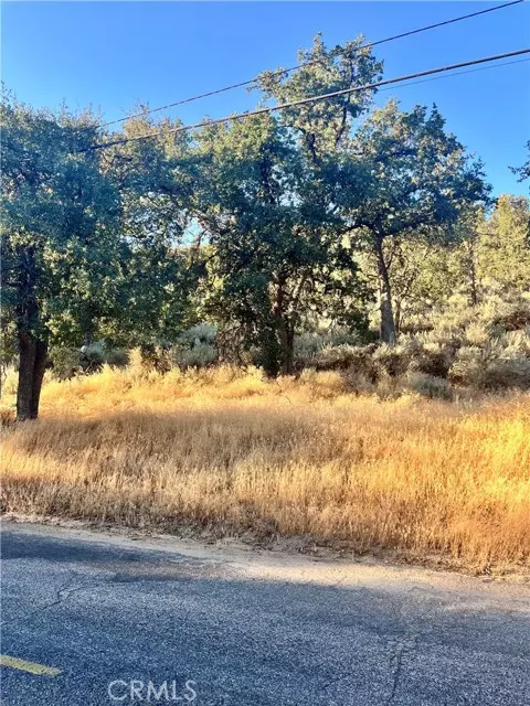 0 Alps Drive, Alpine Forest, CA 93561