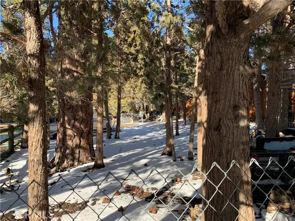 Big Bear, CA 92314,0 Mountain View East Boulevard