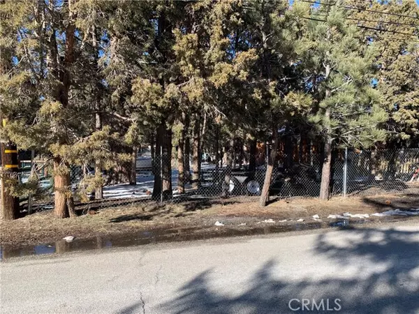 Big Bear, CA 92314,0 Mountain View East Boulevard