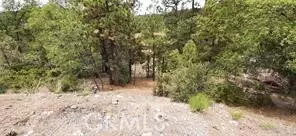 0 Bruin Trail, Fawnskin, CA 92333