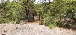 0 Bruin Trail, Fawnskin, CA 92333