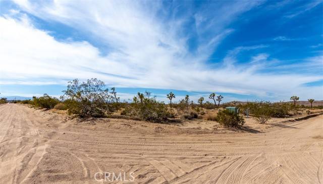 Yucca Valley, CA 92284,59970 Campanula Street