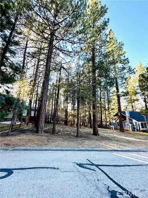 Big Bear City, CA 92314,447 Belmont