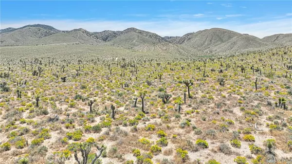 Lucerne Valley, CA 92356,0 Near Sutter