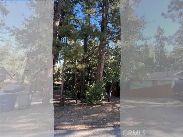 Big Bear, CA 92315,0 Willow Avenue