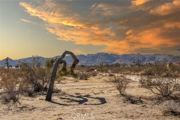 Joshua Tree, CA 92252,6538 Saddleback Road