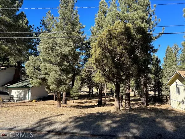 46997 Sky View Drive, Big Bear City, CA 92314