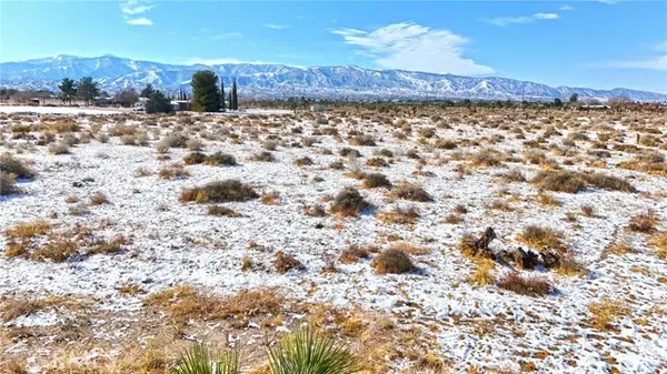 Phelan, CA 92371,1 Daisy