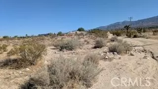 Pinon Hills, CA 92372,0 del rosa