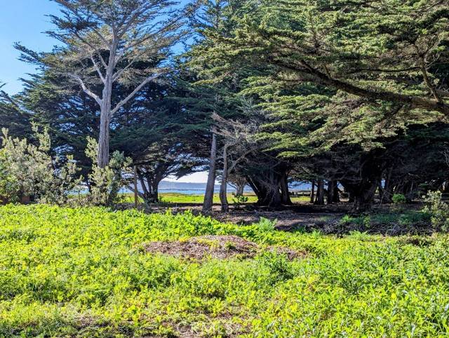 121 Magellan Avenue, Half Moon Bay, CA 94019