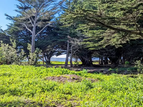 121 Magellan Avenue, Half Moon Bay, CA 94019