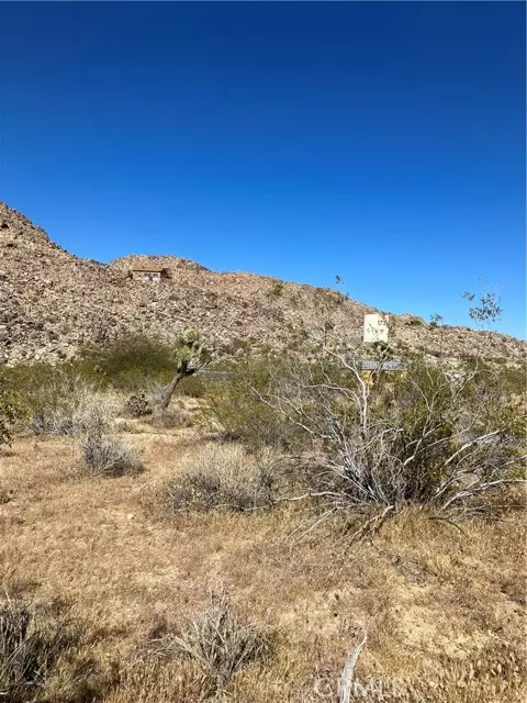 Joshua Tree, CA 92252,0 Anaconda Dr.