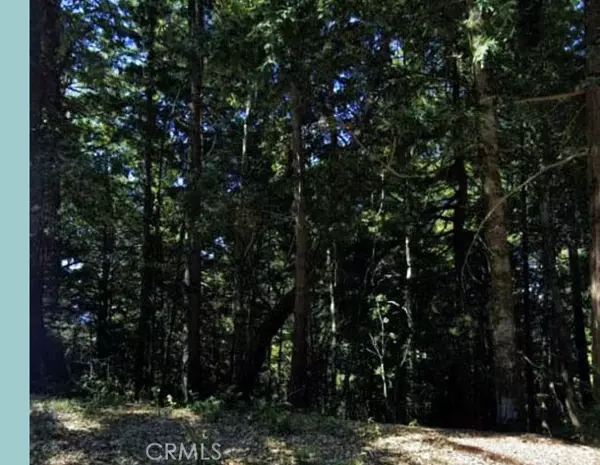 5181 Blue Lake Road, Willits, CA 95490