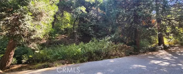 Lake Arrowhead, CA 92385,0 Maple Road