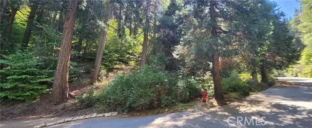 Lake Arrowhead, CA 92385,0 Maple Road