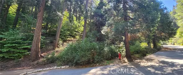 Lake Arrowhead, CA 92385,0 Maple Road