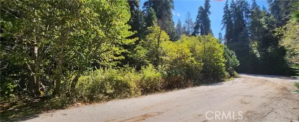 Lake Arrowhead, CA 92385,0 Maple Road