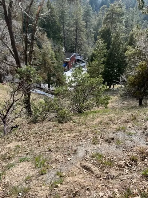 Crestline, CA 92391,818 Berne