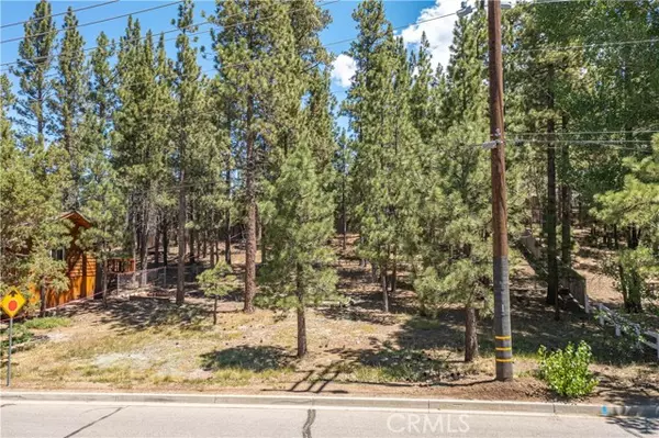 Big Bear Lake, CA 92315,0 Park Avenue