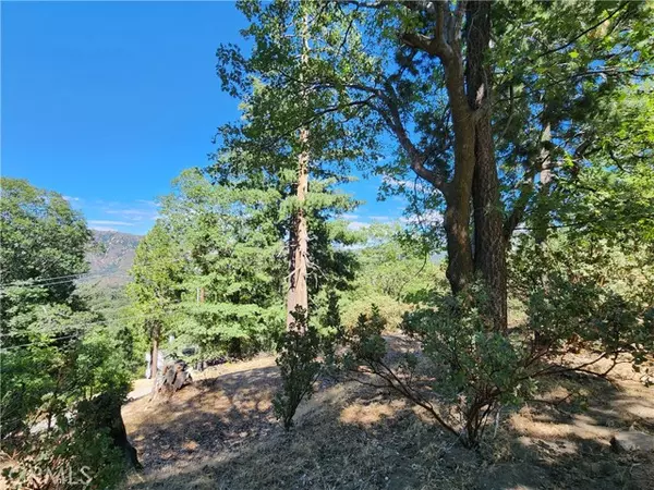 203 Canyon View Drive, Crestline, CA 92325