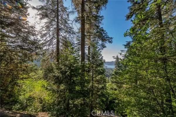 Lake Arrowhead, CA 92385,716 Blue Ridge Drive