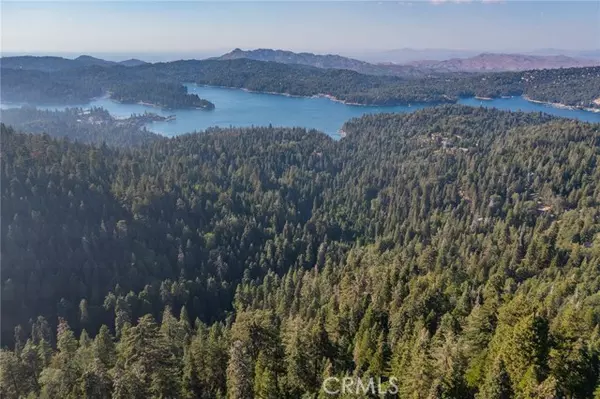 Lake Arrowhead, CA 92385,716 Blue Ridge Drive