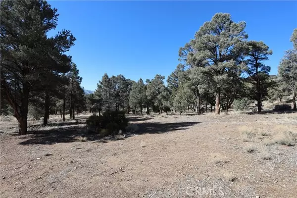 1221 Kickapoo Drive, Big Bear City, CA 92314